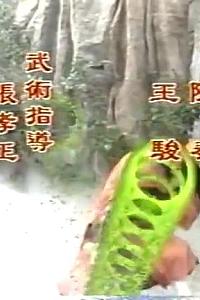 济公新传