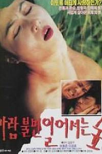 바람불면 일어서는 숲