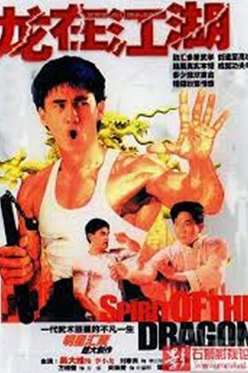 李小龙传