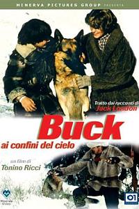 Buck ai confini del cielo