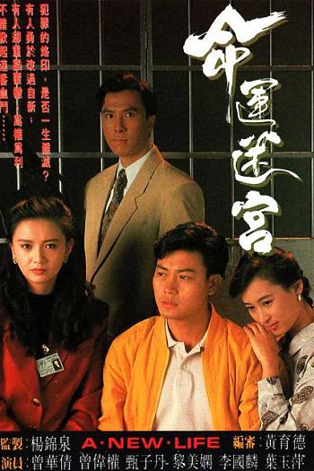 命运迷宫