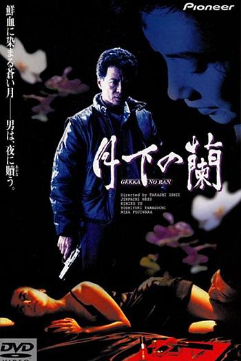 月下之兰