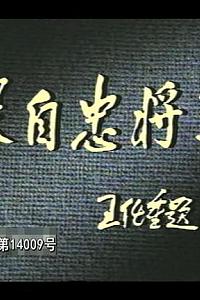 张自忠将军