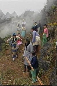 红鲤公主