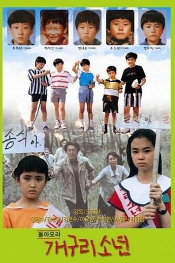 青蛙少年