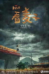 看麦子