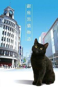 银座黑猫物语