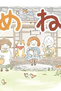 豆豆猫