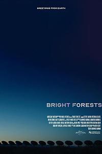 Bright Forests