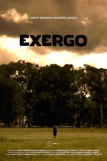 Exergo