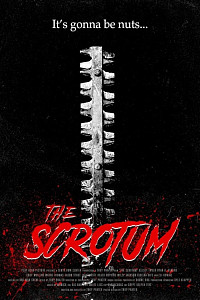 The Scrotum (2019)