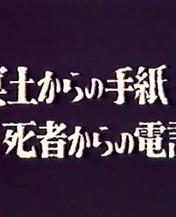 蝶たちは今…冥土からの手紙