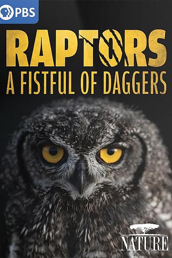 Raptors - A Fistful of Daggers