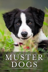 Muster Dogs Season 1