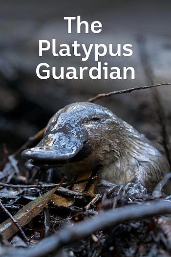 The Platypus Guardian