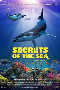 Secrets of the Sea 2022