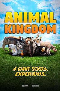 Animal Kingdom: A Tale of Six Families