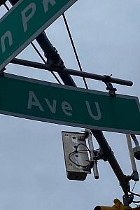 Ave U