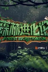 森林进化论 第二季