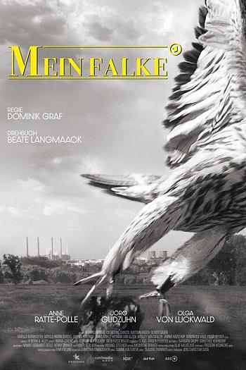 Mein Falke