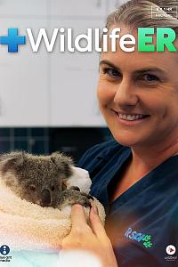 Wildlife ER Season 1