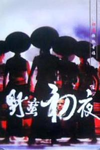 野蛮初夜