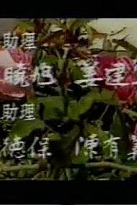 带露的玫瑰
