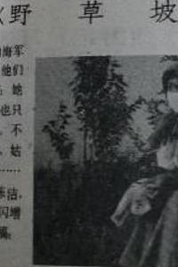 野草坡