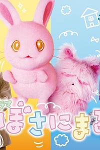 ぼさにまる