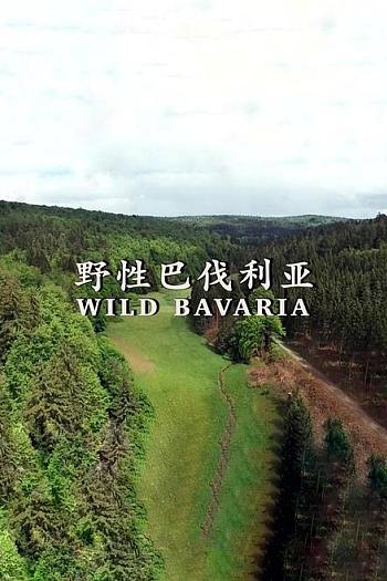 野性巴伐利亚