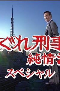 刑事纯情派 第17季特别篇