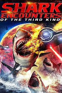 Shark Encounters of the Third Kind