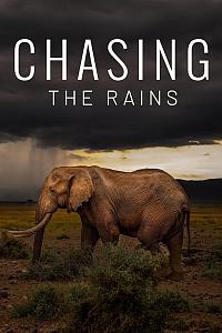 Chasing the Rains Season 1