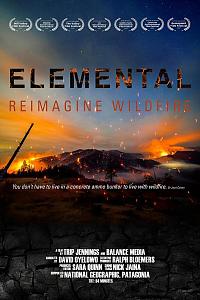 Elemental: Reimagine Wildfire