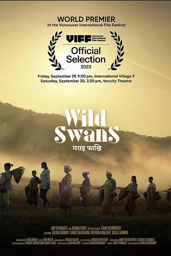 Wild Swans