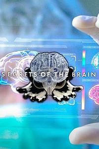 Secrets of the Brain Season 2