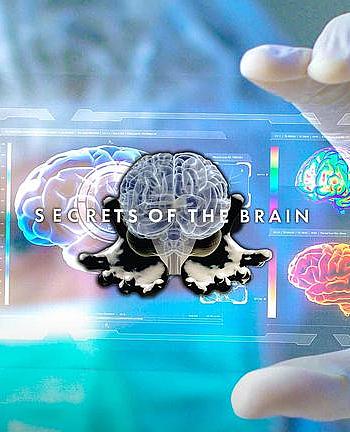 Secrets of the Brain Season 2