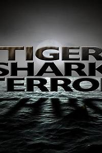 Tiger Shark Terror