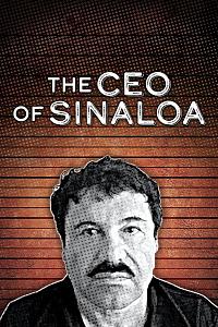 The CEO of Sinaloa