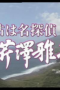 姑は名探偵芹澤雅子 八丈島南国リゾート殺人事件