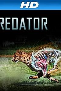 I, Predator Season 1