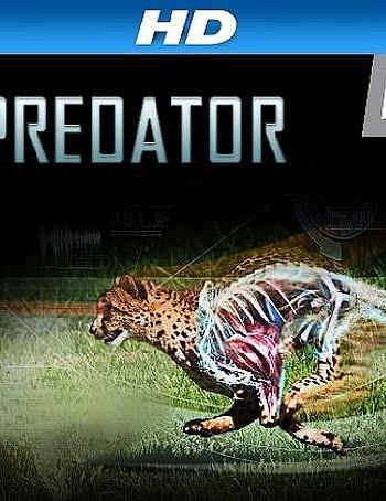 I, Predator Season 1