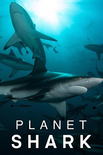 Planet Shark Season 1