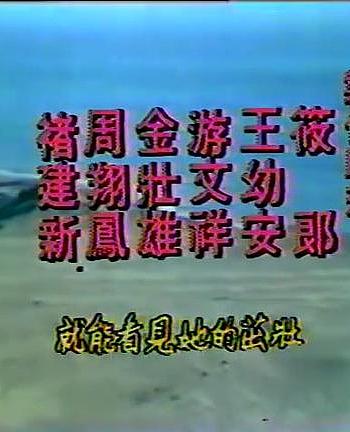 郁金香
