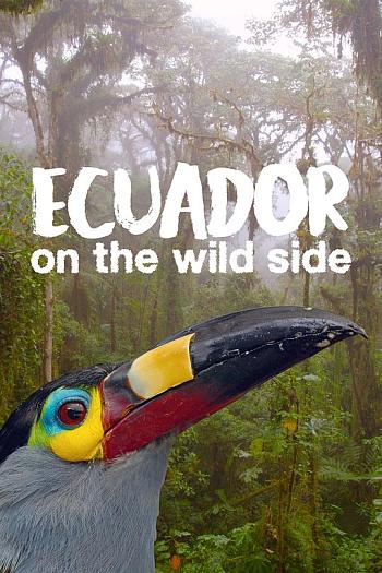 L'Equateur,au sommet de la biodiversité Season 1