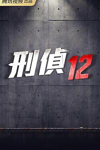 刑侦12