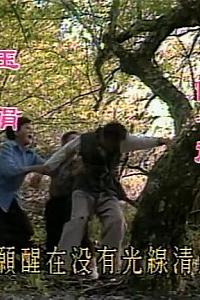 爱的故事