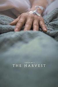 The Harvest