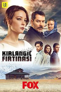 Kirlangiç Firtinasi