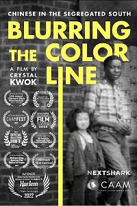 Blurring the Color Line